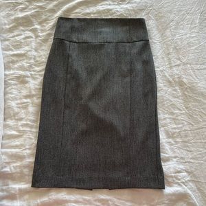 Express Pencil Skirt